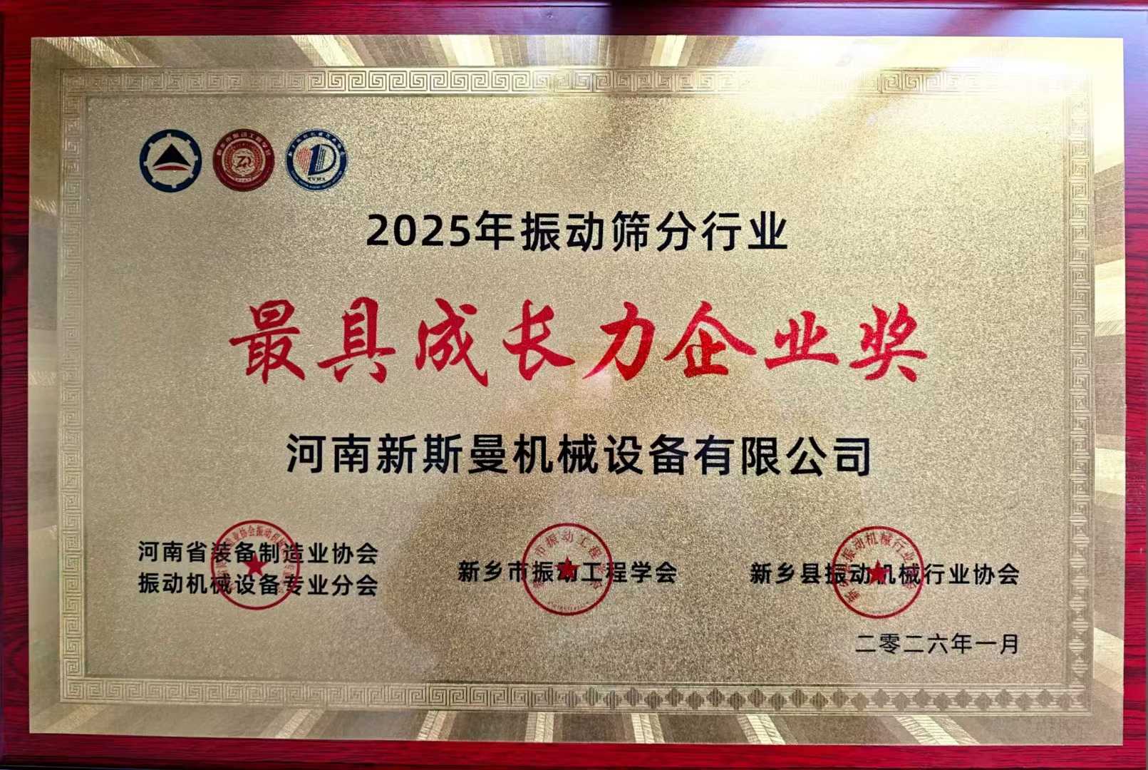 2025年振动筛分行业最具成长力企业奖